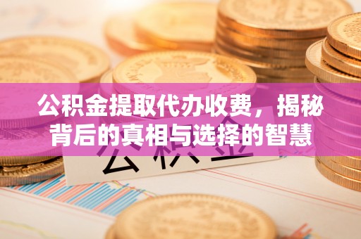 鄂州公积金提取代办收费，揭秘背后的真相与选择的智慧