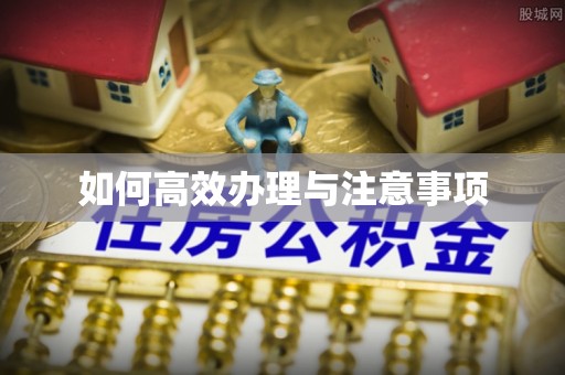 鄂州如何高效办理与注意事项