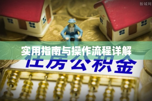 鄂州实用指南与操作流程详解