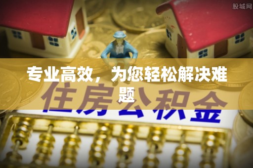 鄂州专业高效，为您轻松解决难题