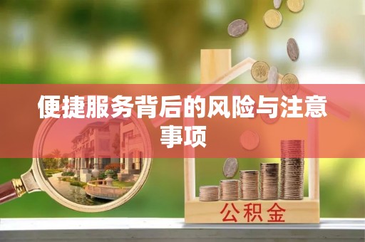 鄂州便捷服务背后的风险与注意事项