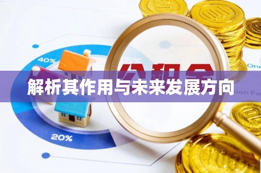 鄂州解析其作用与未来发展方向