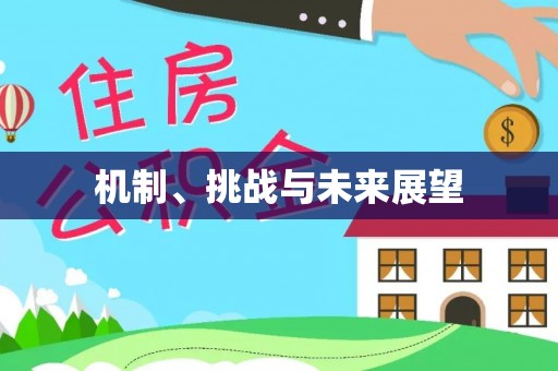 鄂州机制、挑战与未来展望