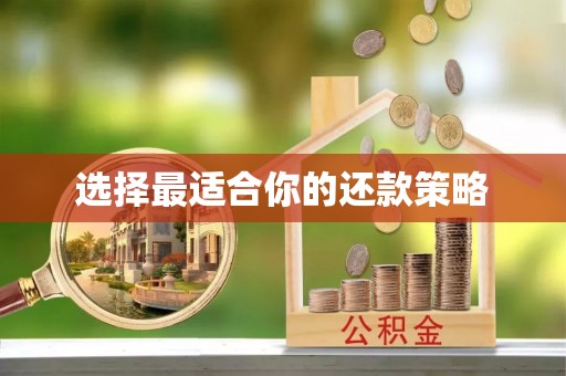 鄂州选择最适合你的还款策略