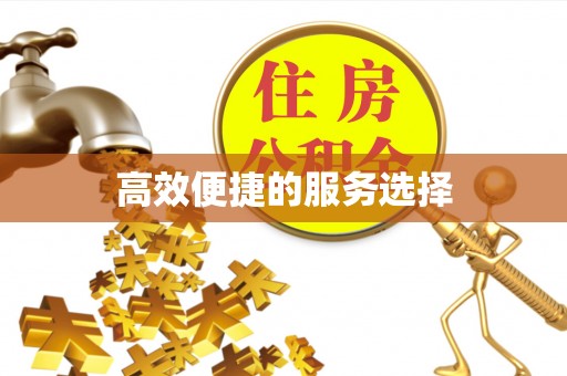 鄂州高效便捷的服务选择