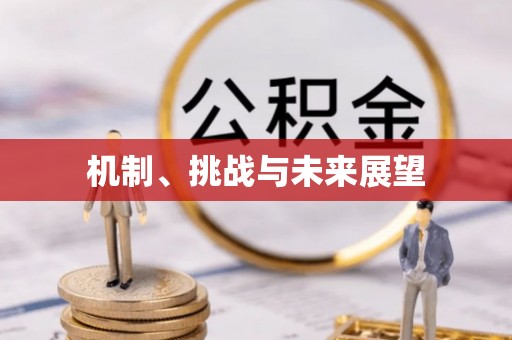 鄂州机制、挑战与未来展望
